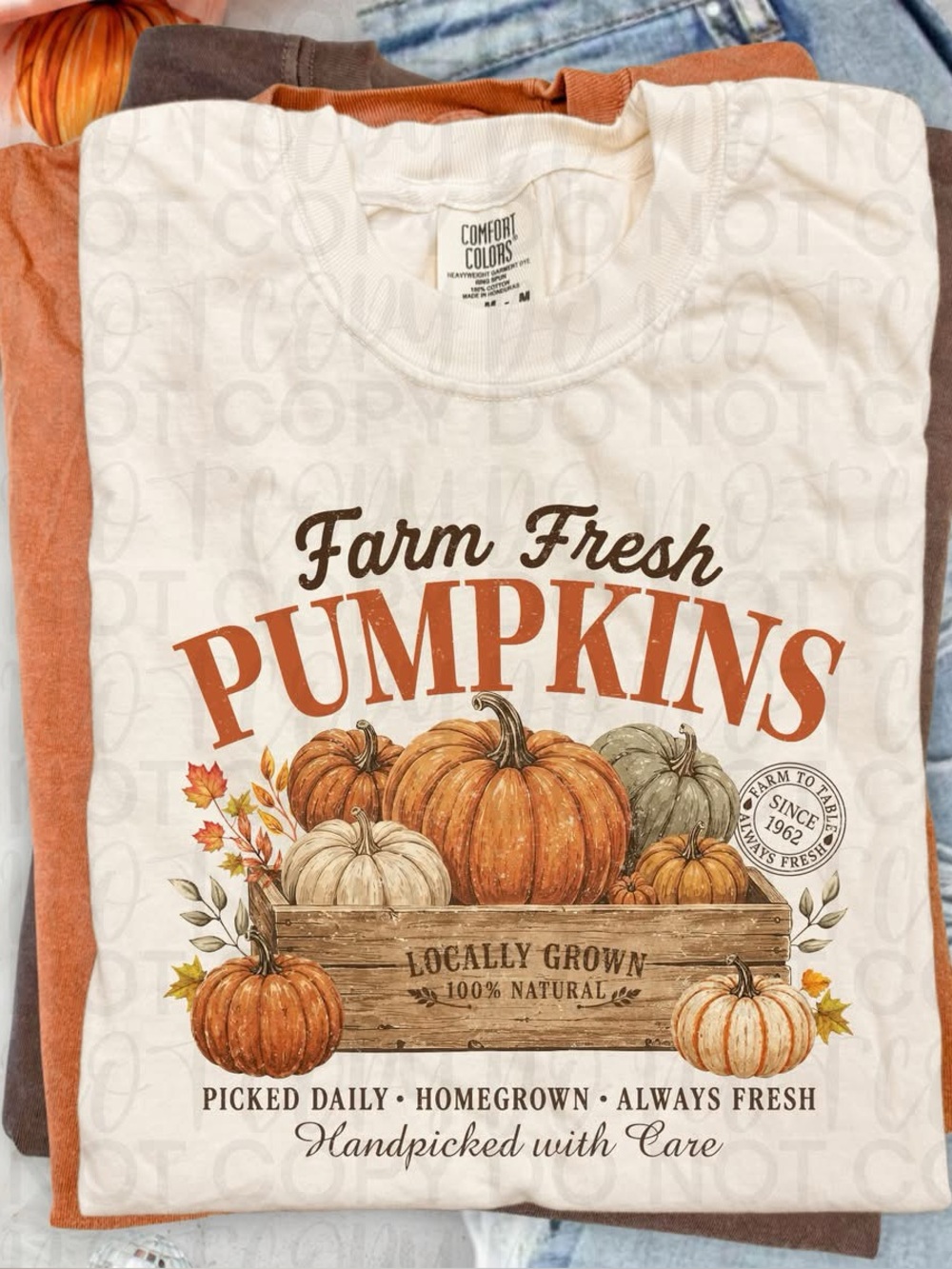 Farm Fresh Pumpkins Graphic Comfort Colors Tshirt Ivory Small-XL